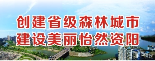 囗交妓女屄屄视频创建省级森林城市 建设美丽怡然资阳